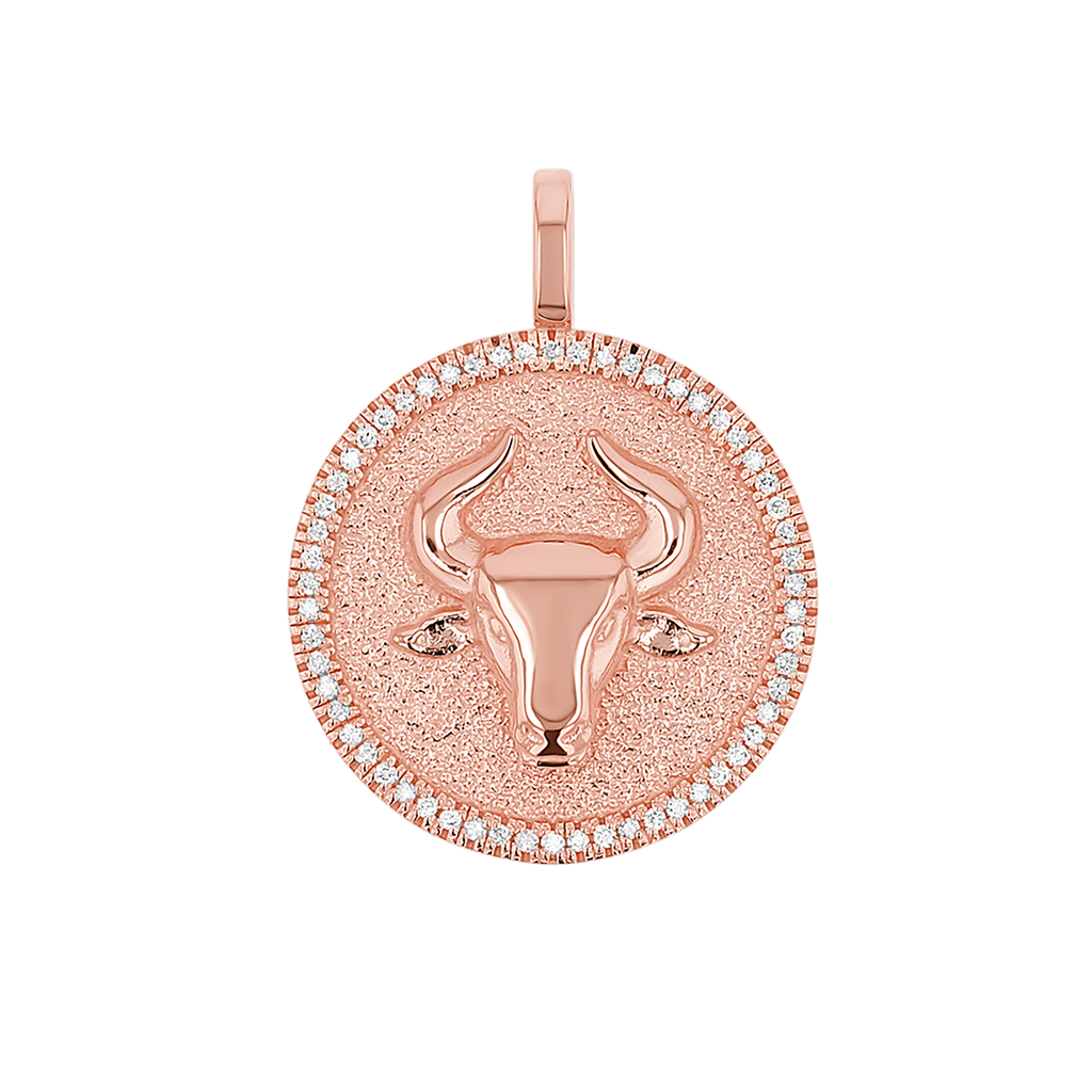 Zodiac Coin Medallion Charm V915
