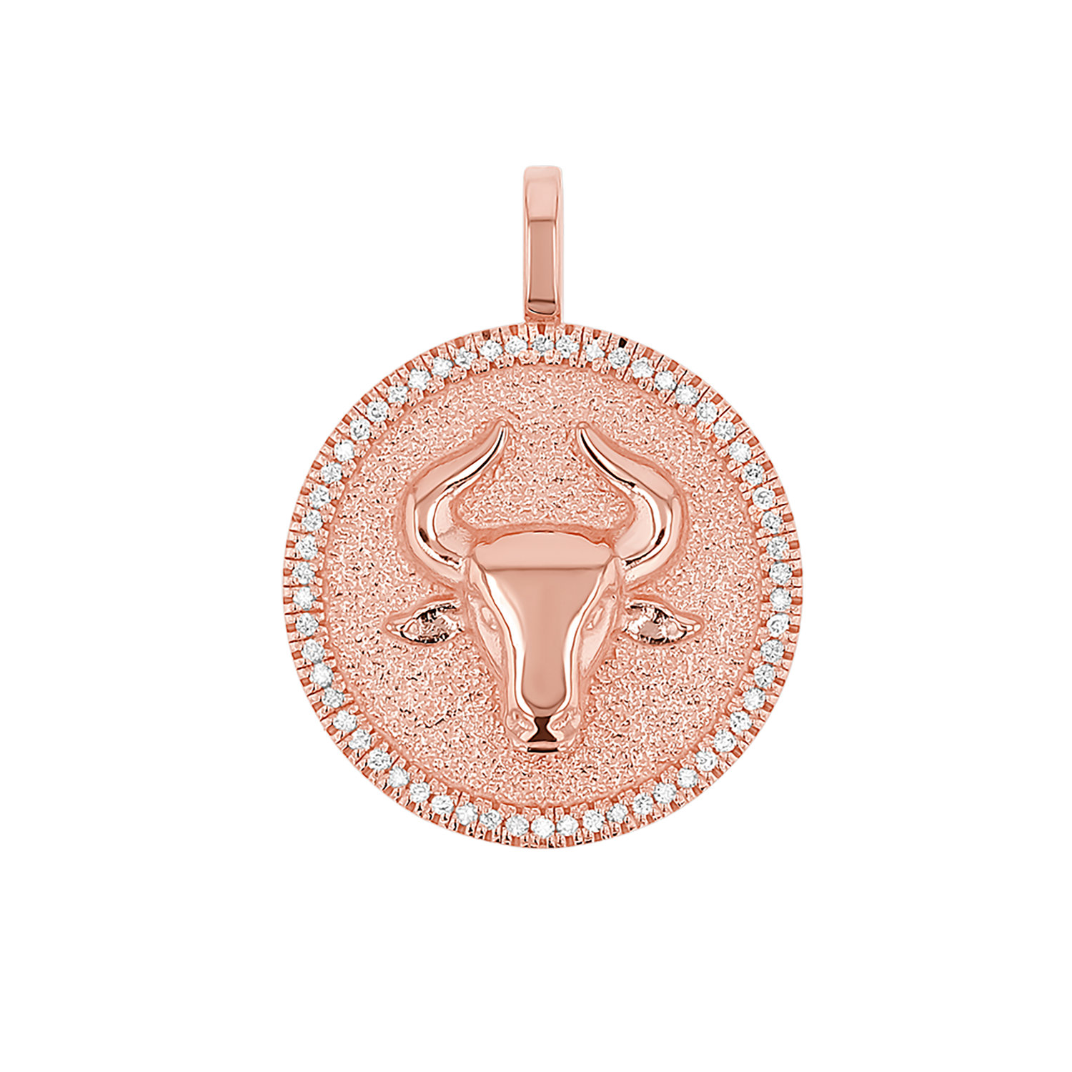 Zodiac Coin Medallion Charm V915