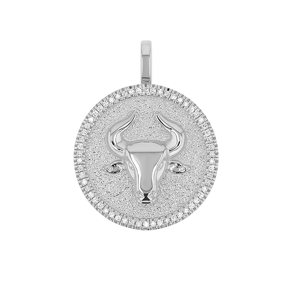 Zodiac Coin Medallion Charm V915
