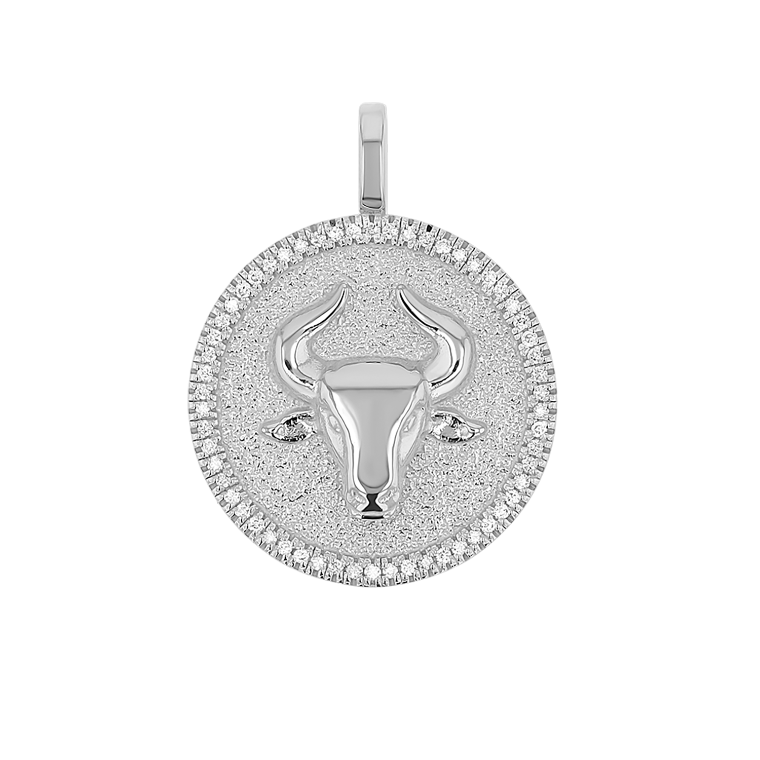 Zodiac Coin Medallion Charm V915