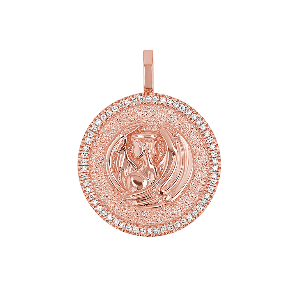 Zodiac Coin Medallion Charm V915