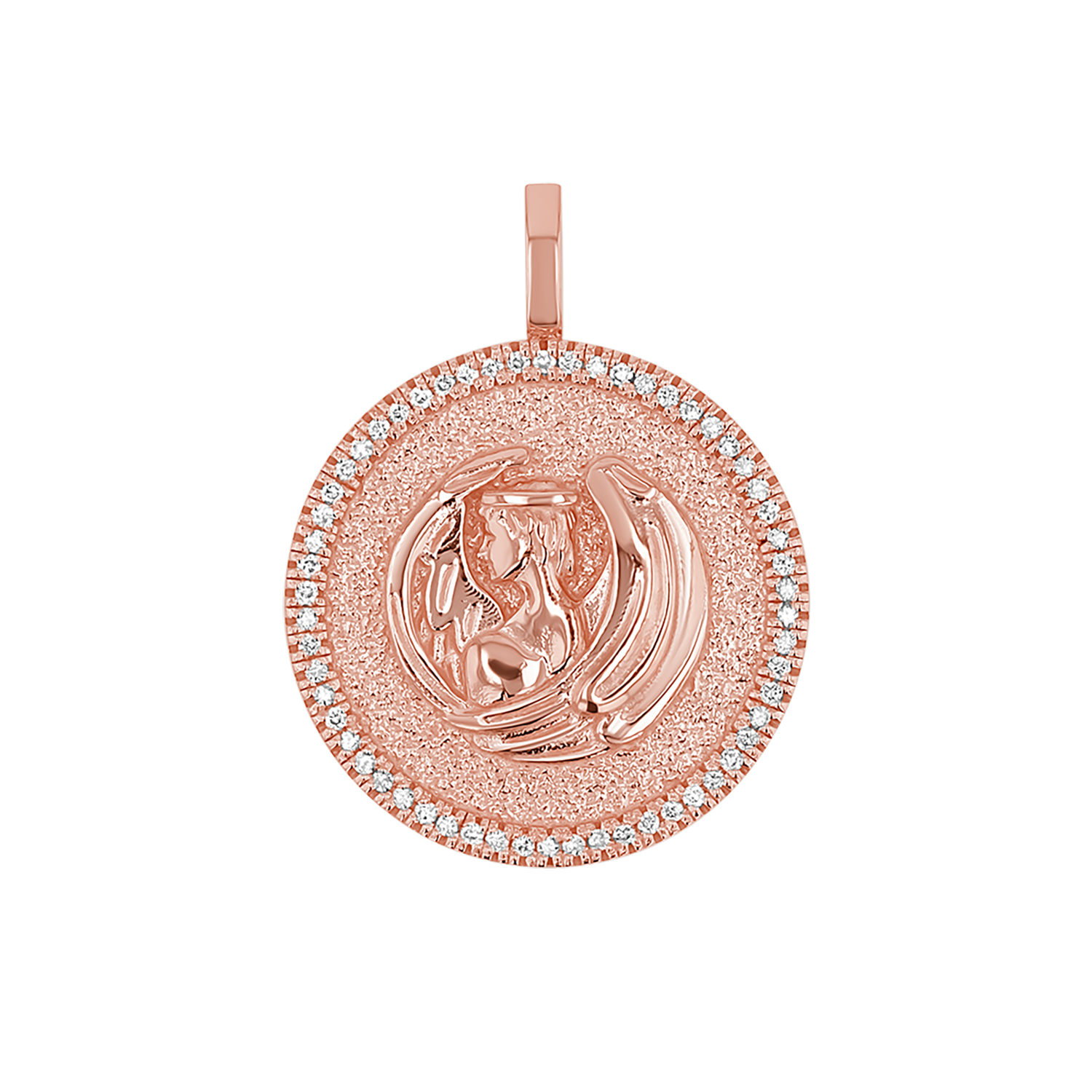 Zodiac Coin Medallion Charm V915