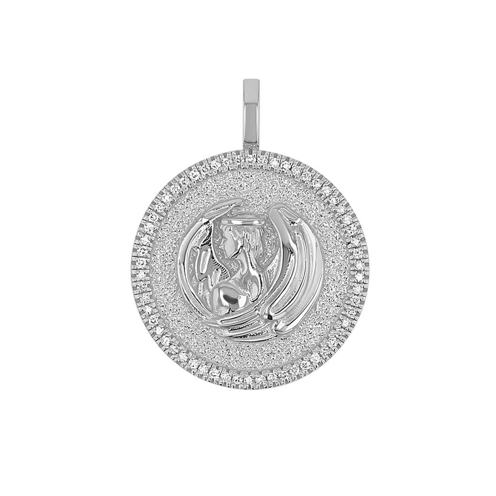 Zodiac Coin Medallion Charm V915