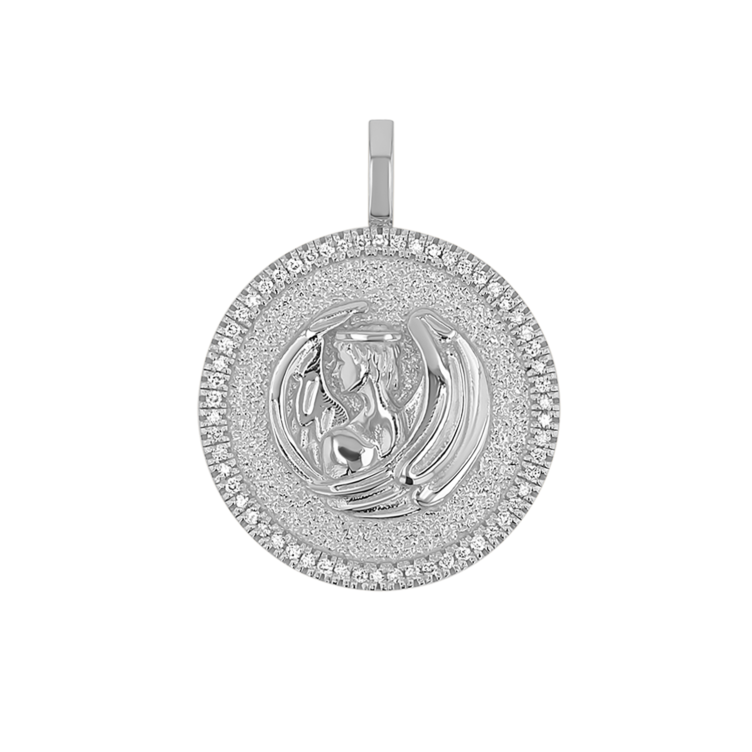 Zodiac Coin Medallion Charm V915