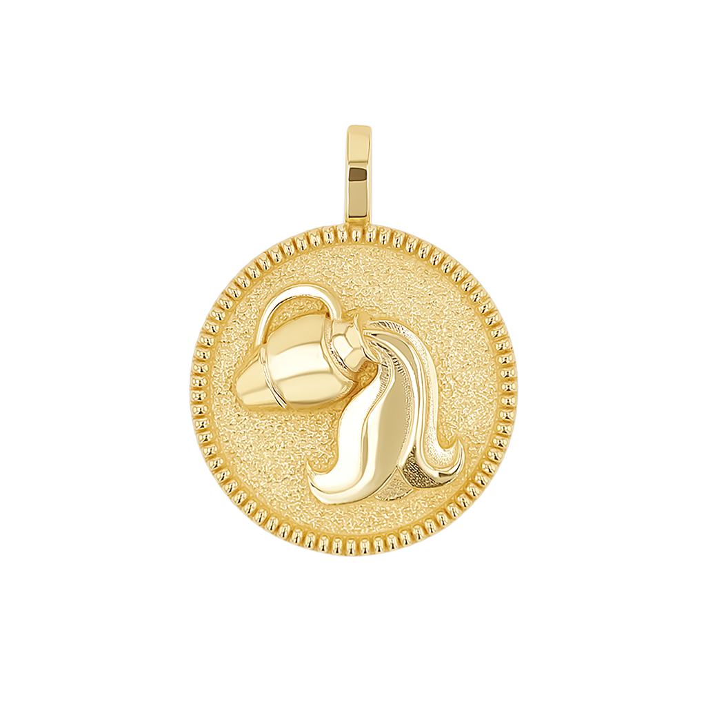 Zodiac Coin Medallion Charm B174029