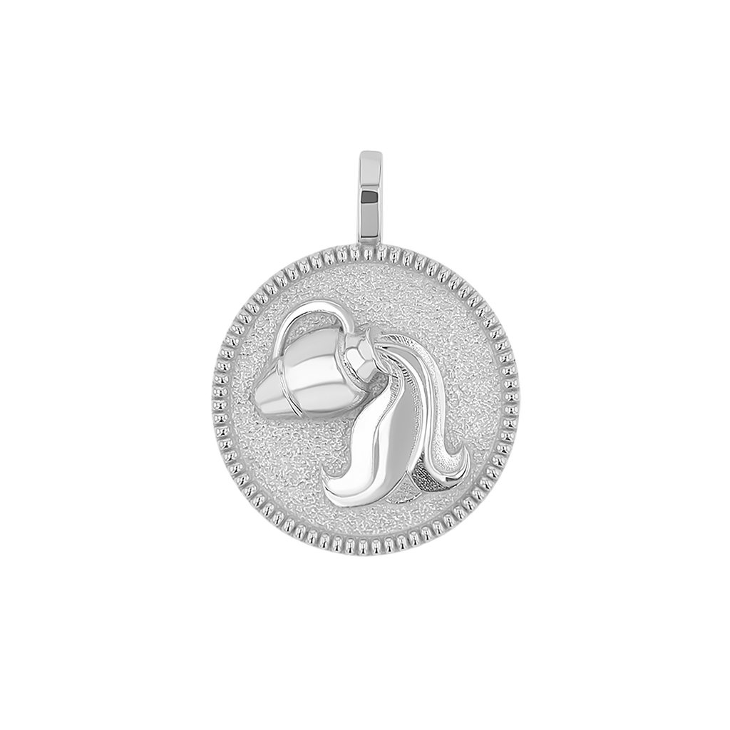 Zodiac Coin Medallion Charm B174029