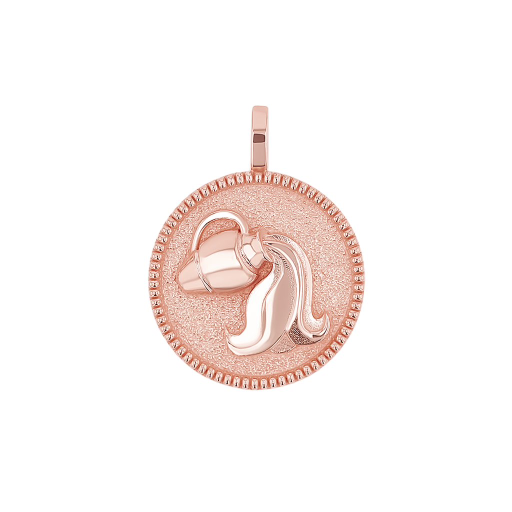 Zodiac Coin Medallion Charm B174029