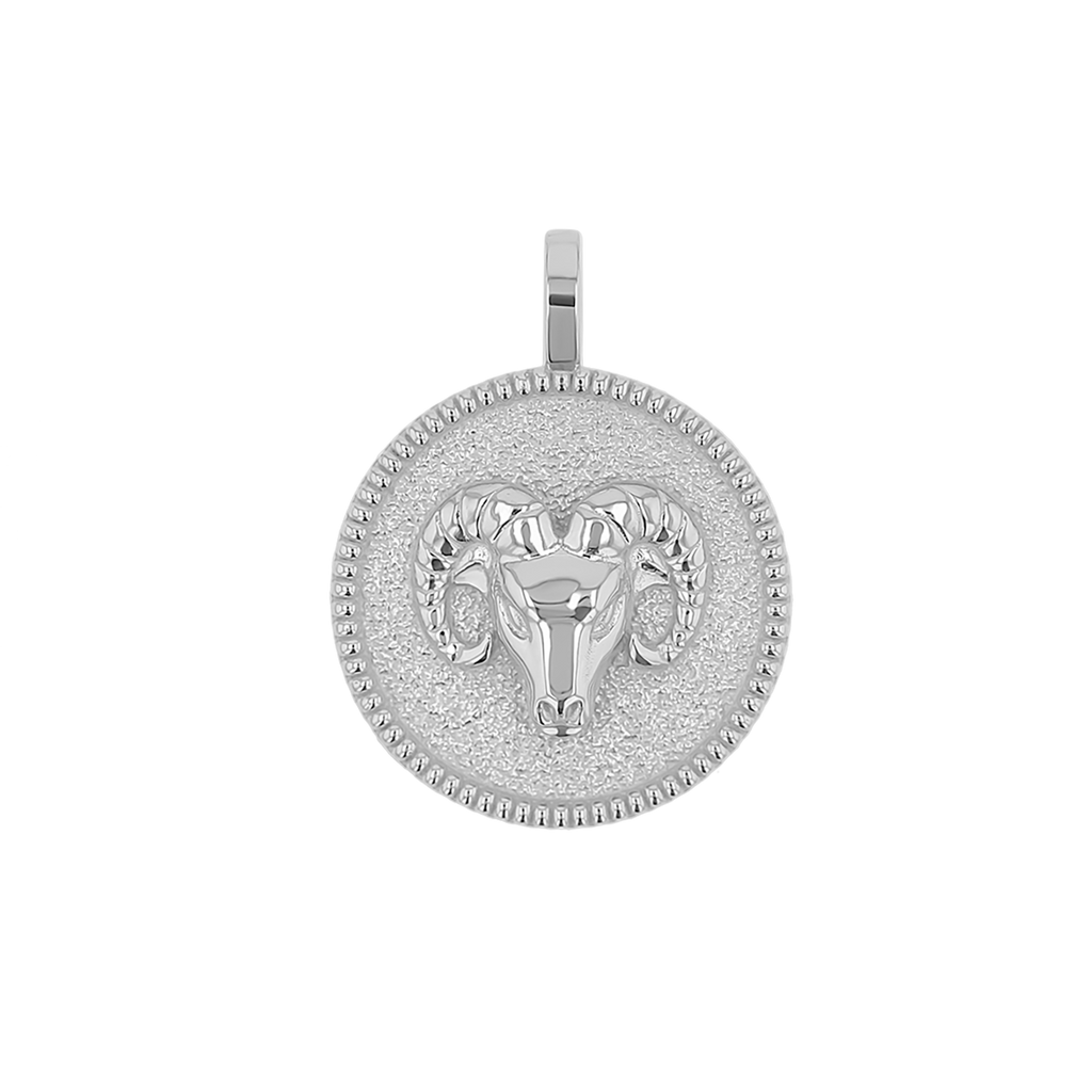 Zodiac Coin Medallion Charm B174029