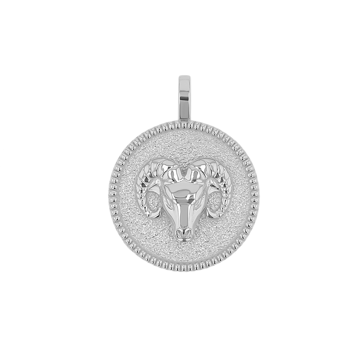 Zodiac Coin Medallion Charm B174029