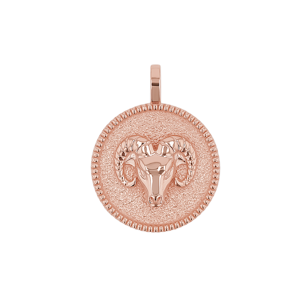 Zodiac Coin Medallion Charm B174029