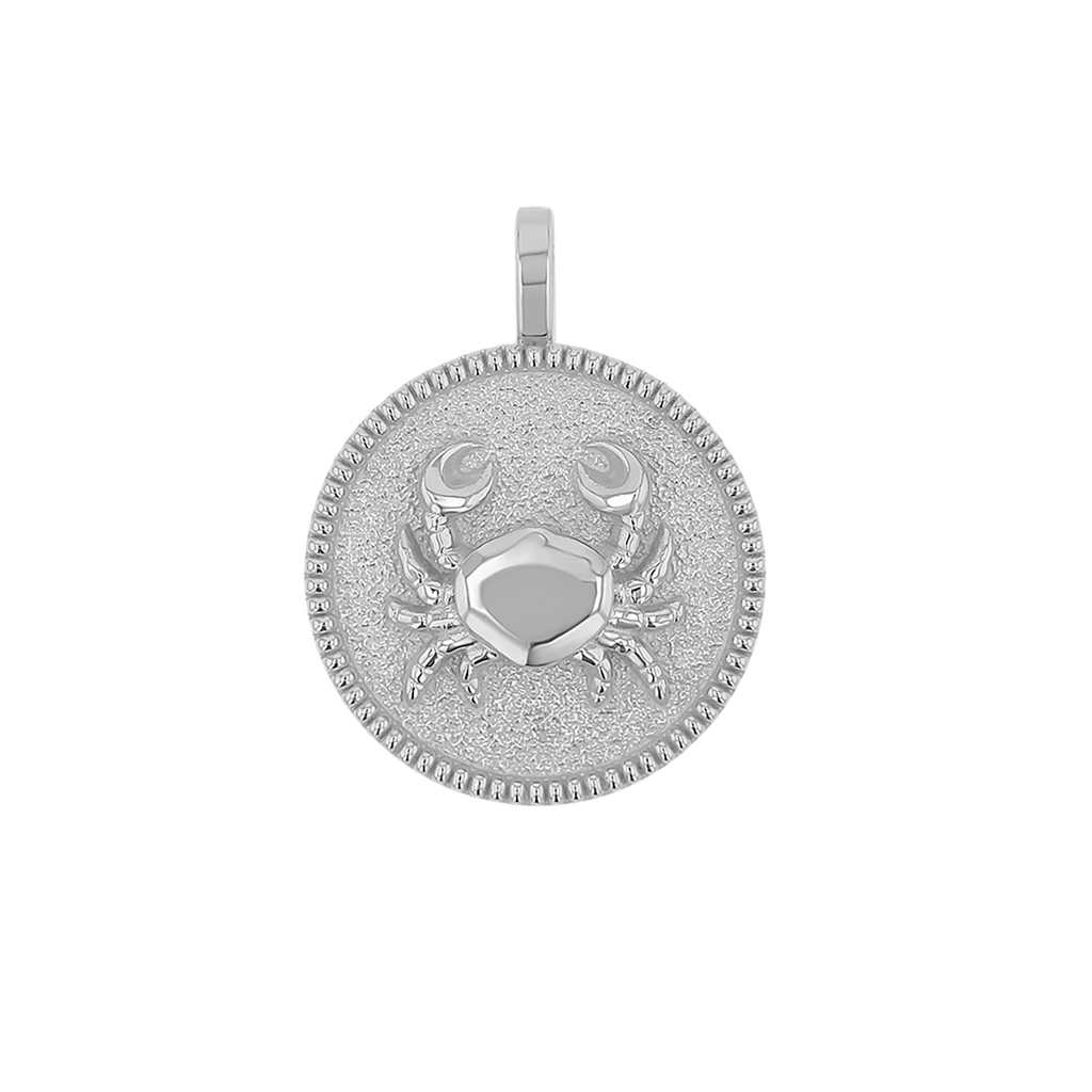 Zodiac Coin Medallion Charm B174029