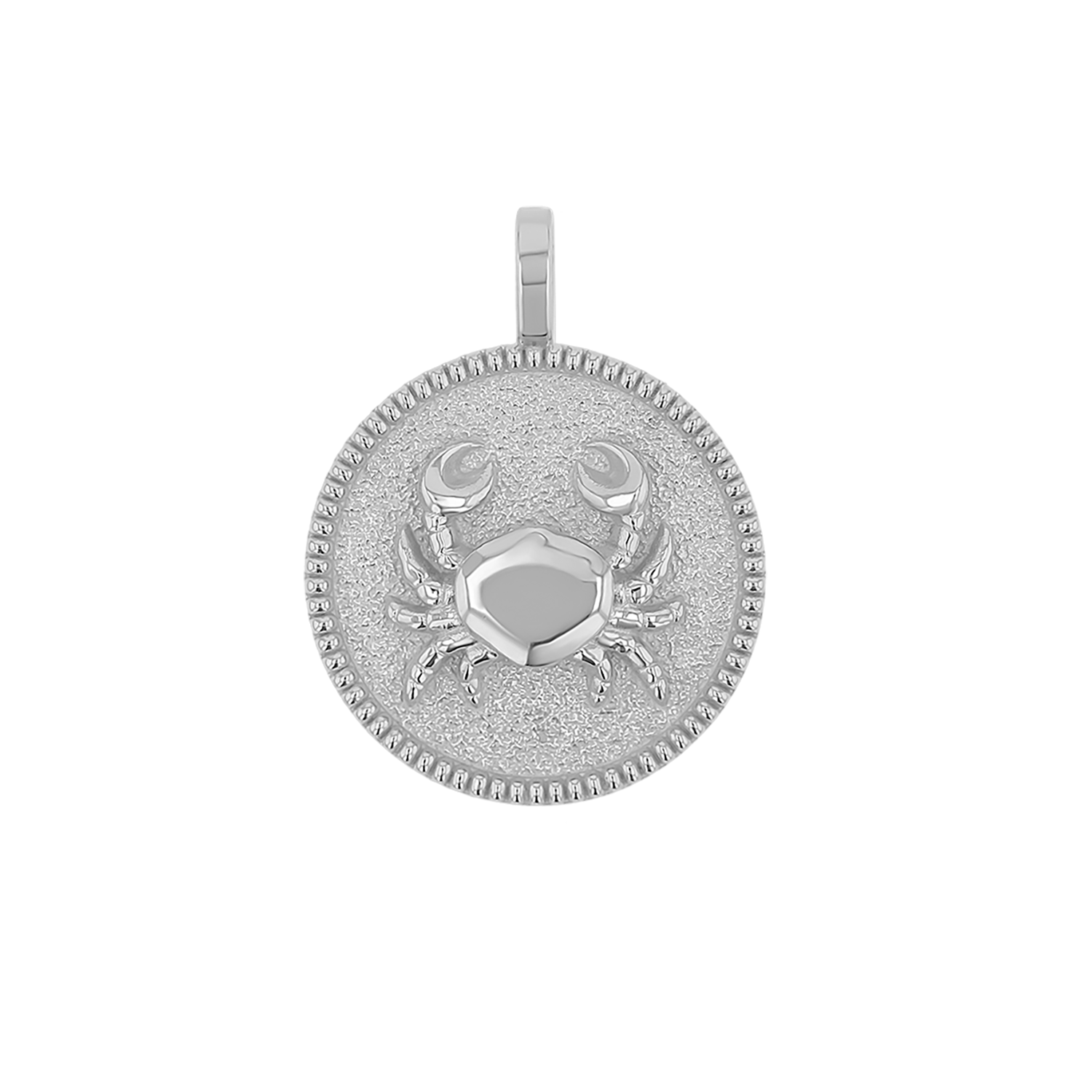Zodiac Coin Medallion Charm B174029