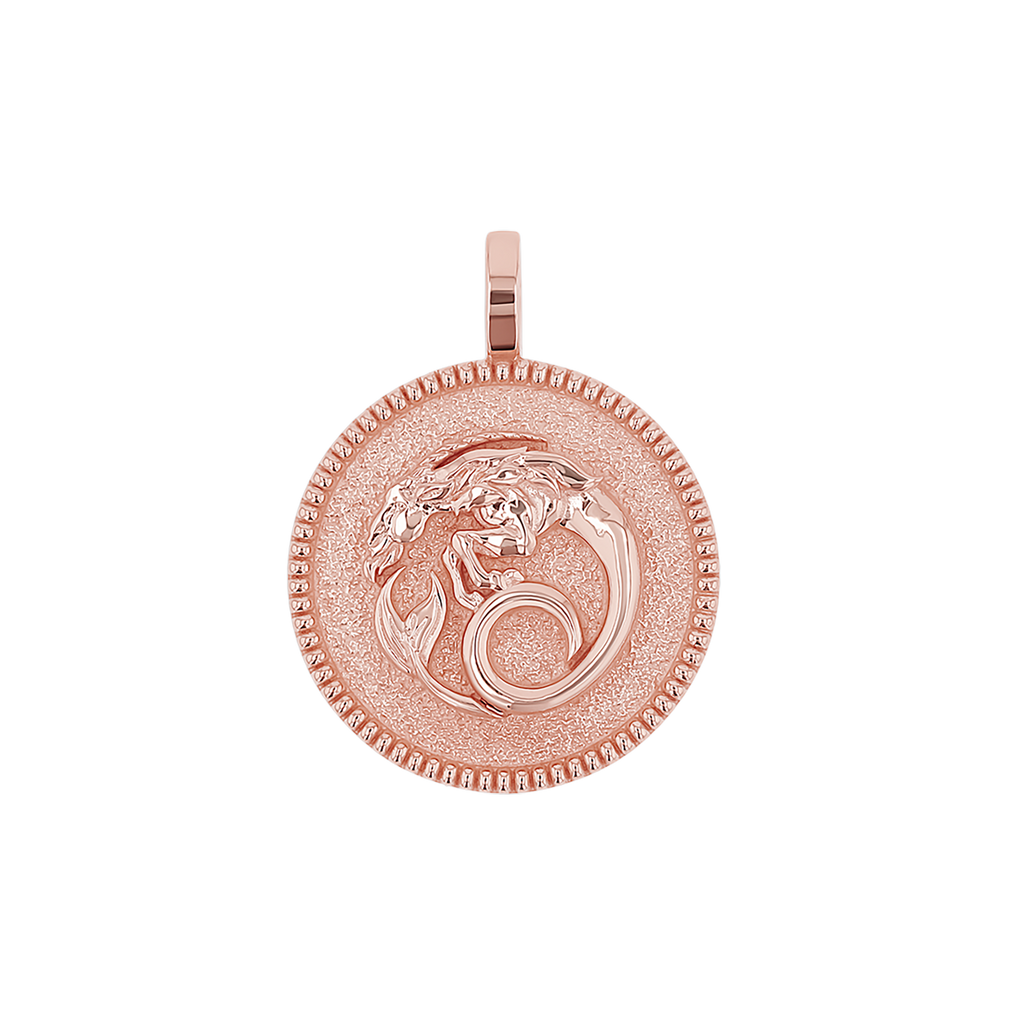 Zodiac Coin Medallion Charm B174029