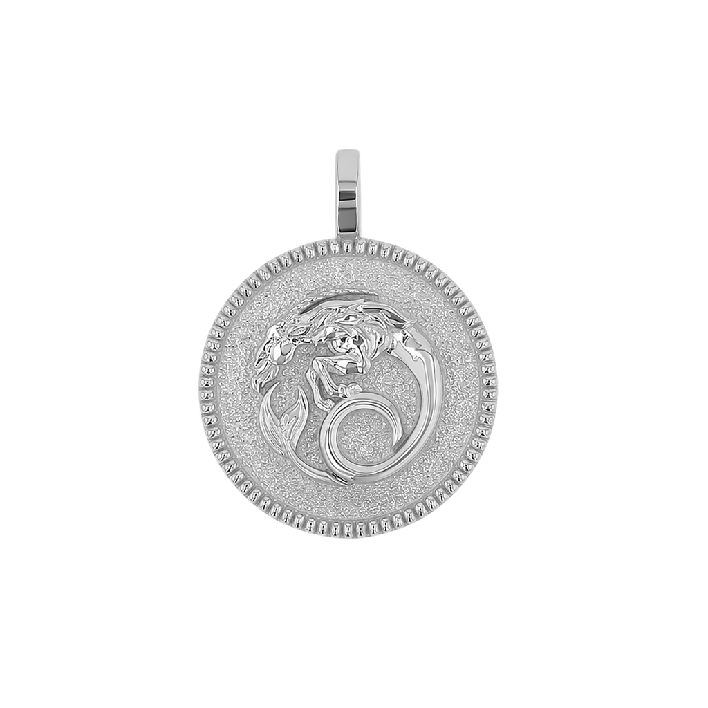Zodiac Coin Medallion Charm B174029