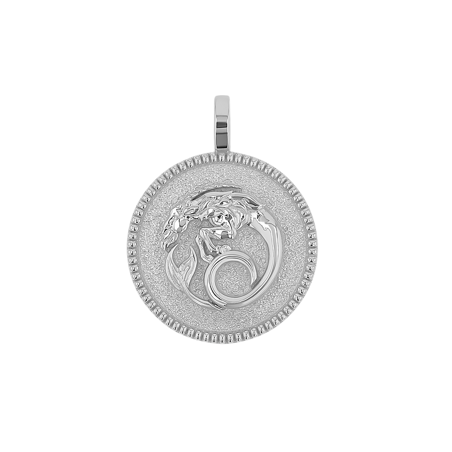 Zodiac Coin Medallion Charm B174029