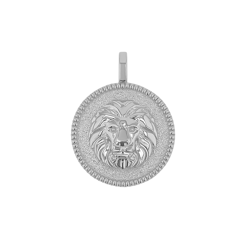 Zodiac Coin Medallion Charm B174029