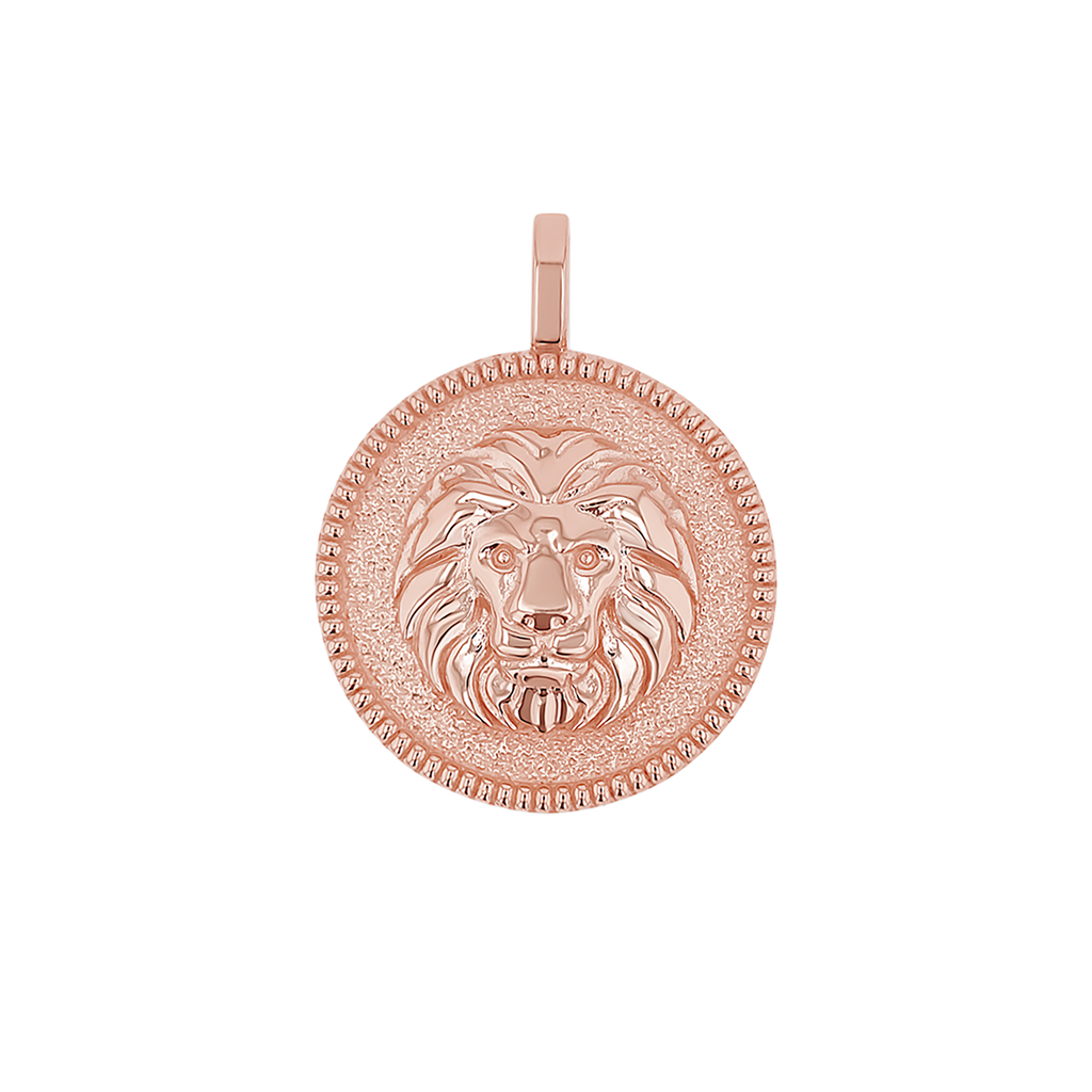 Zodiac Coin Medallion Charm B174029