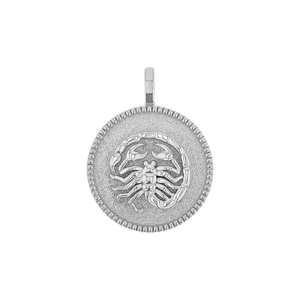 Zodiac Coin Medallion Charm B174029