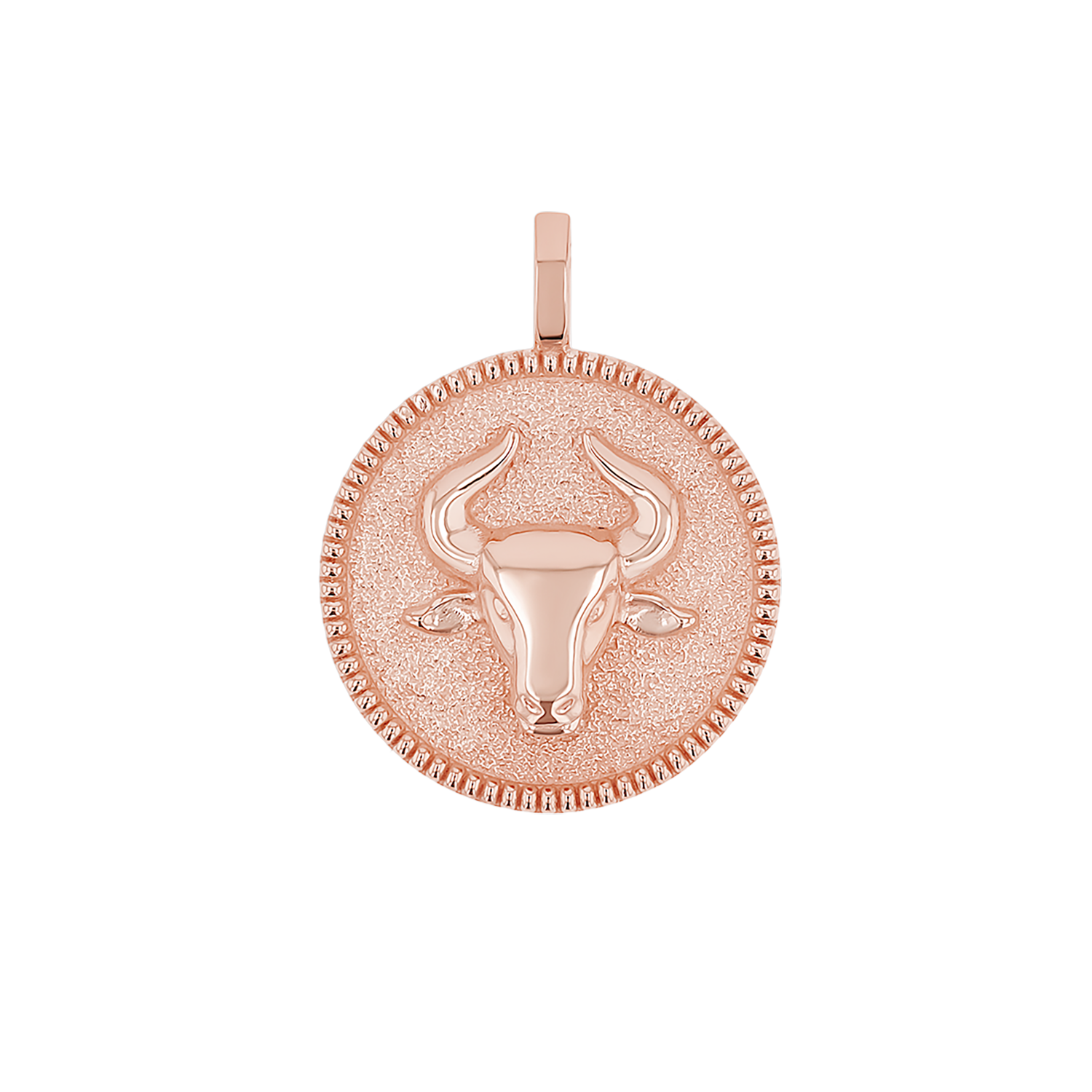 Zodiac Coin Medallion Charm B174029