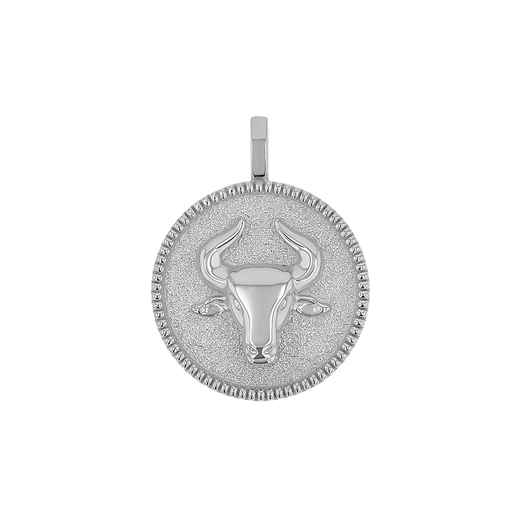 Zodiac Coin Medallion Charm B174029