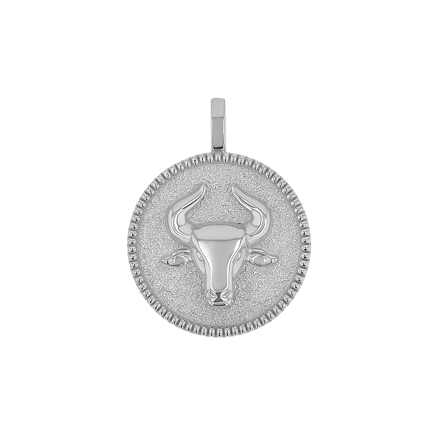 Zodiac Coin Medallion Charm B174029