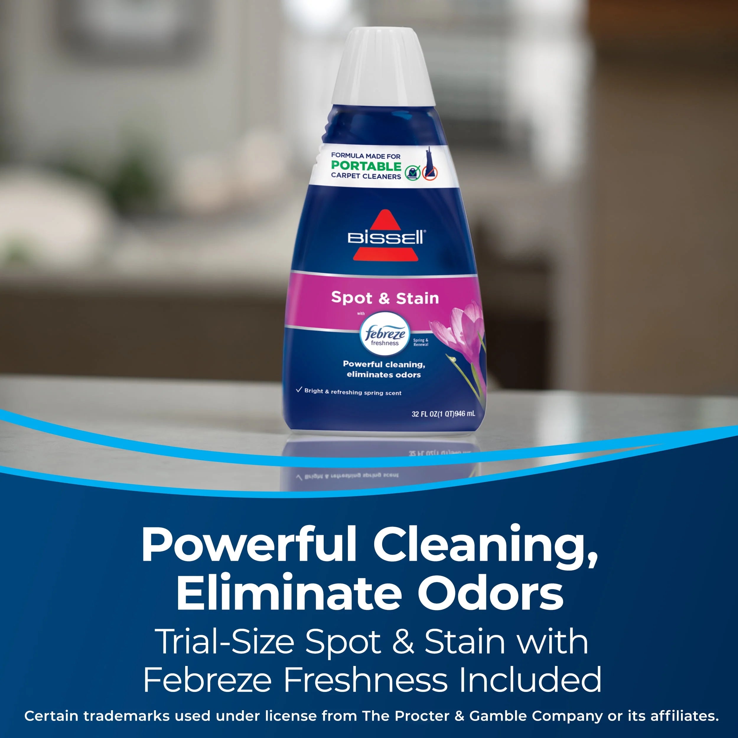 Portable Carpet Cleaner L992
