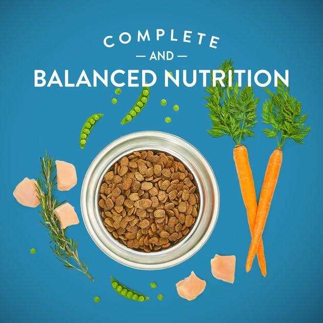 Grain-Free Chicken & Vegetable Dry Dog Food X5615