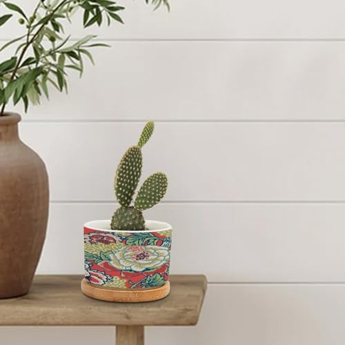 Pink and Blue Ceramic Round Flower Pots with Drainage Holes and Bamboo Tray I636