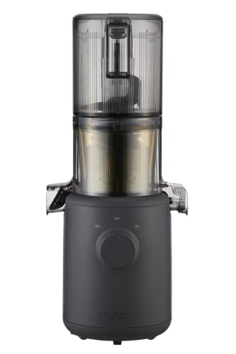 Self Feeding Slow Masticating Juicer Q597