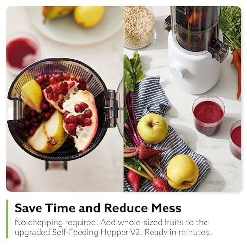 Self Feeding Slow Masticating Juicer Q597
