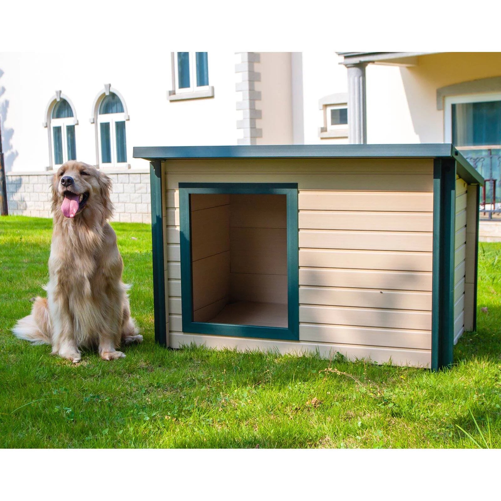 Extra Large Dog House B77354