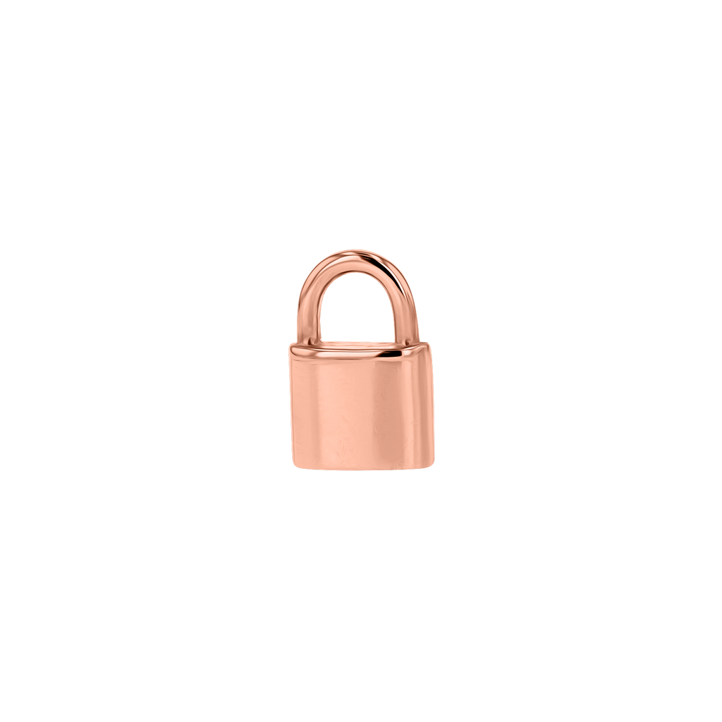 Padlock Stud Earrings G5274