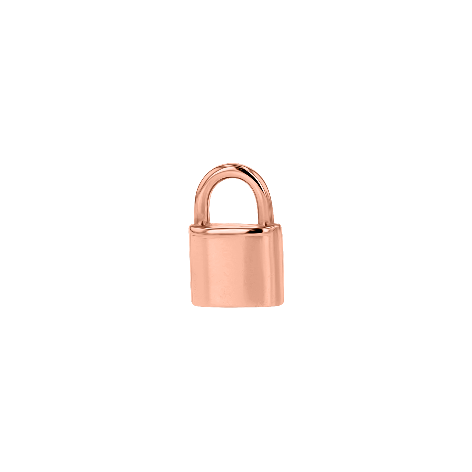 Padlock Stud Earrings G5274