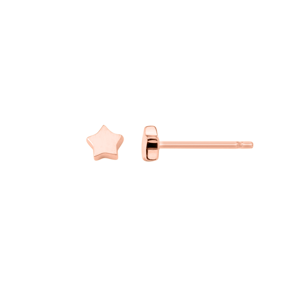 Petite Star Stud Earrings E577