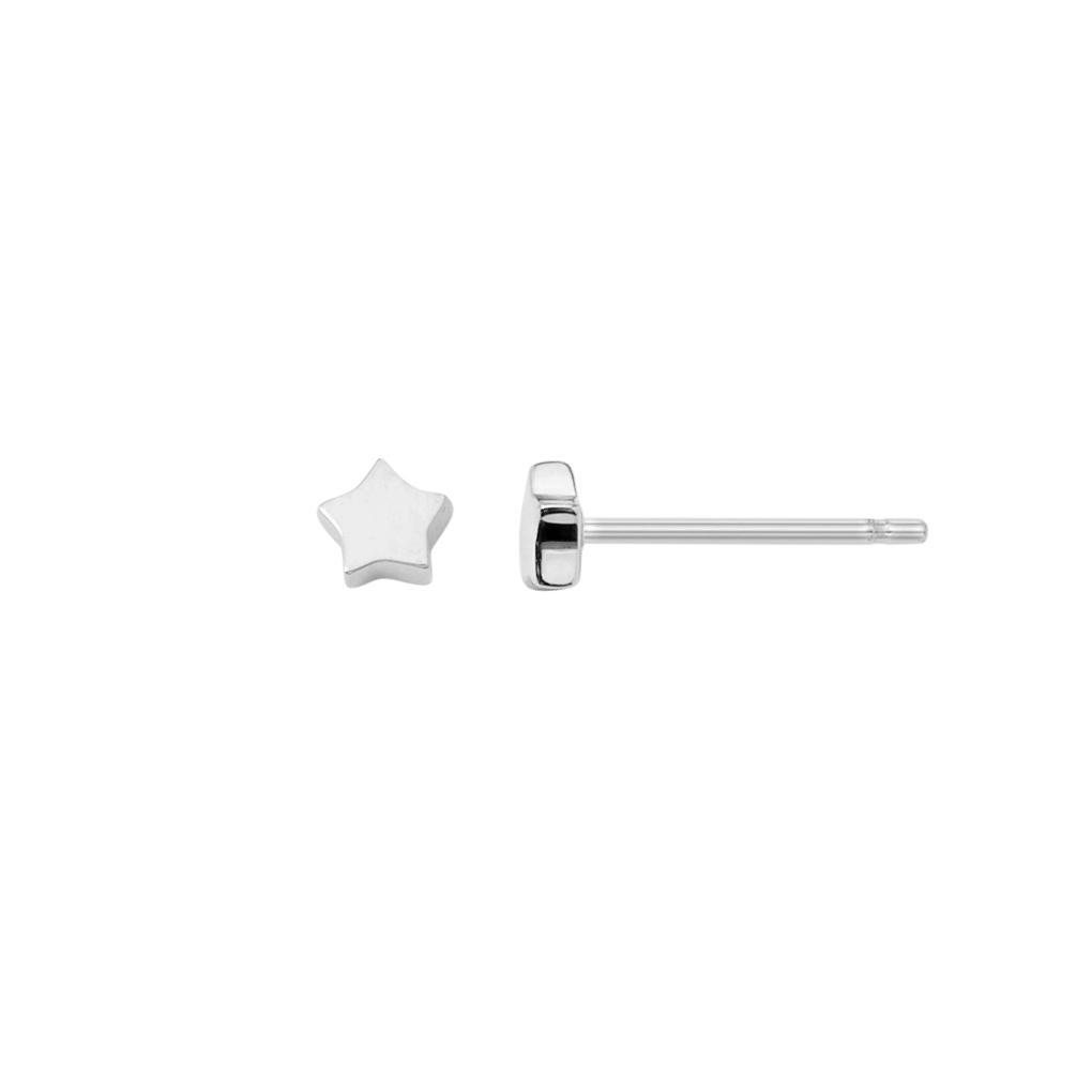 Petite Star Stud Earrings E577