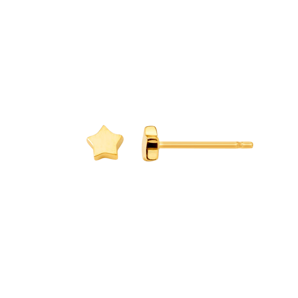 Petite Star Stud Earrings E577
