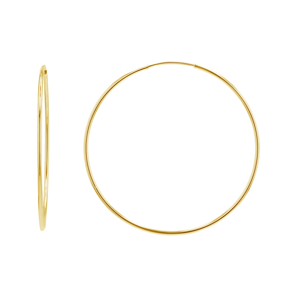 Gold Hoop Earrings Z143329