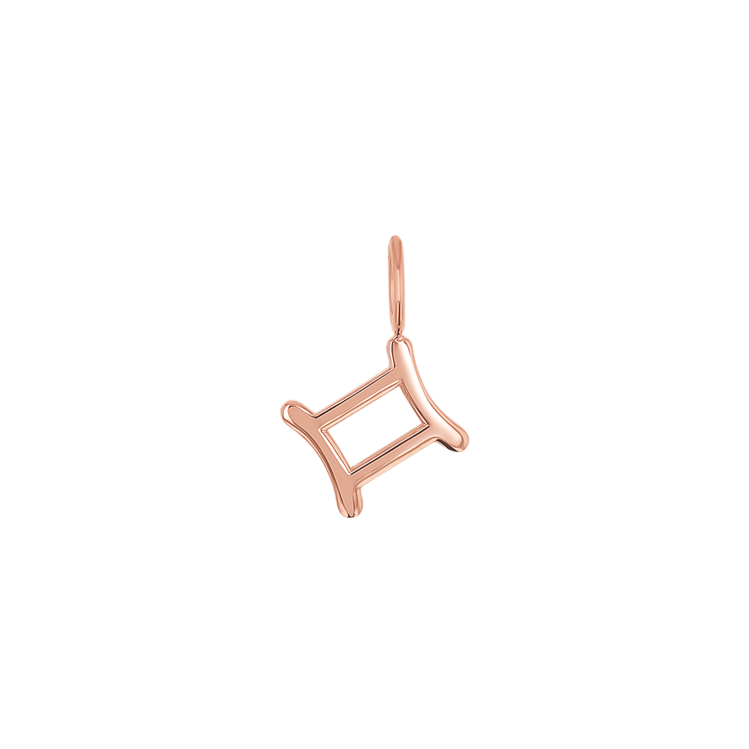 Zodiac Charm Z231706