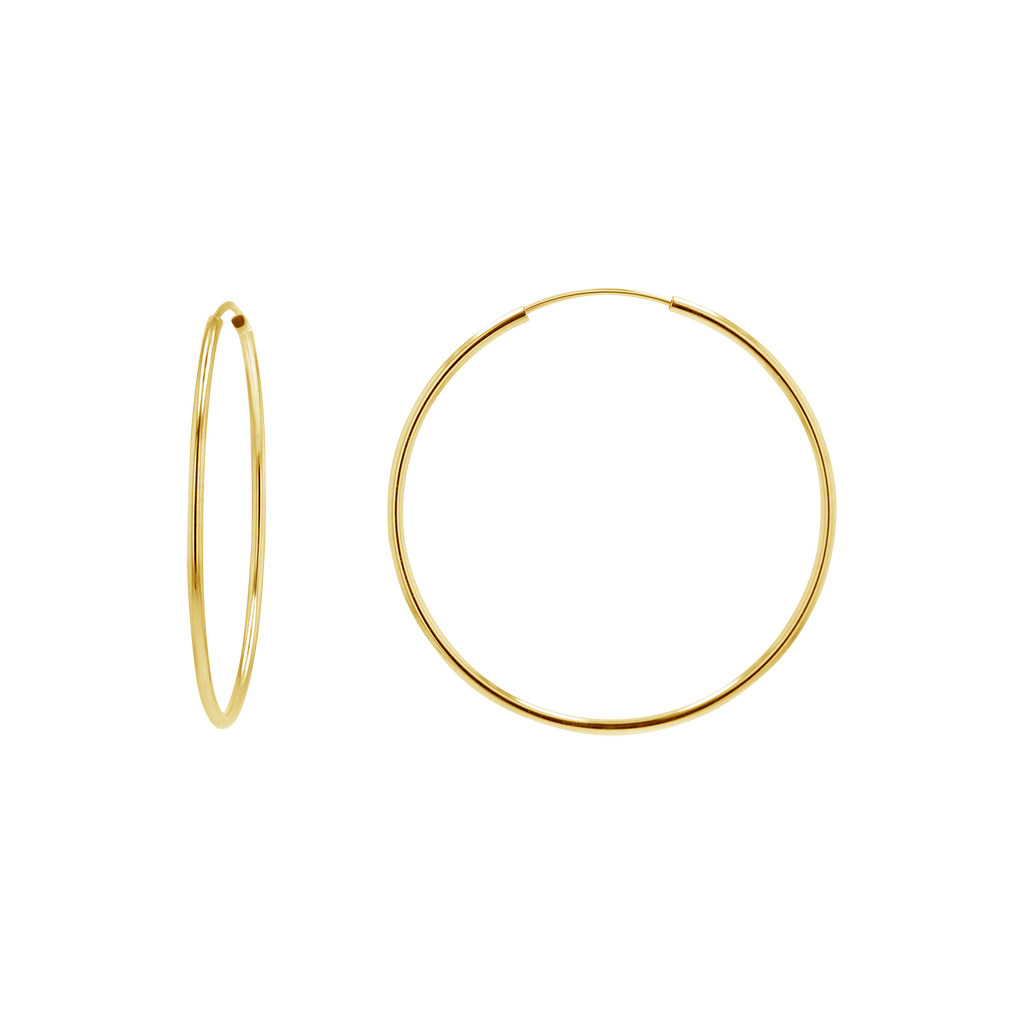 Gold Hoop Earrings Z143329