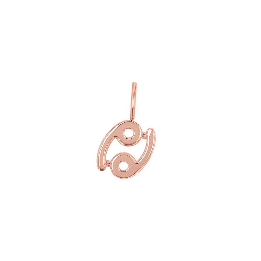 Zodiac Charm Z231706