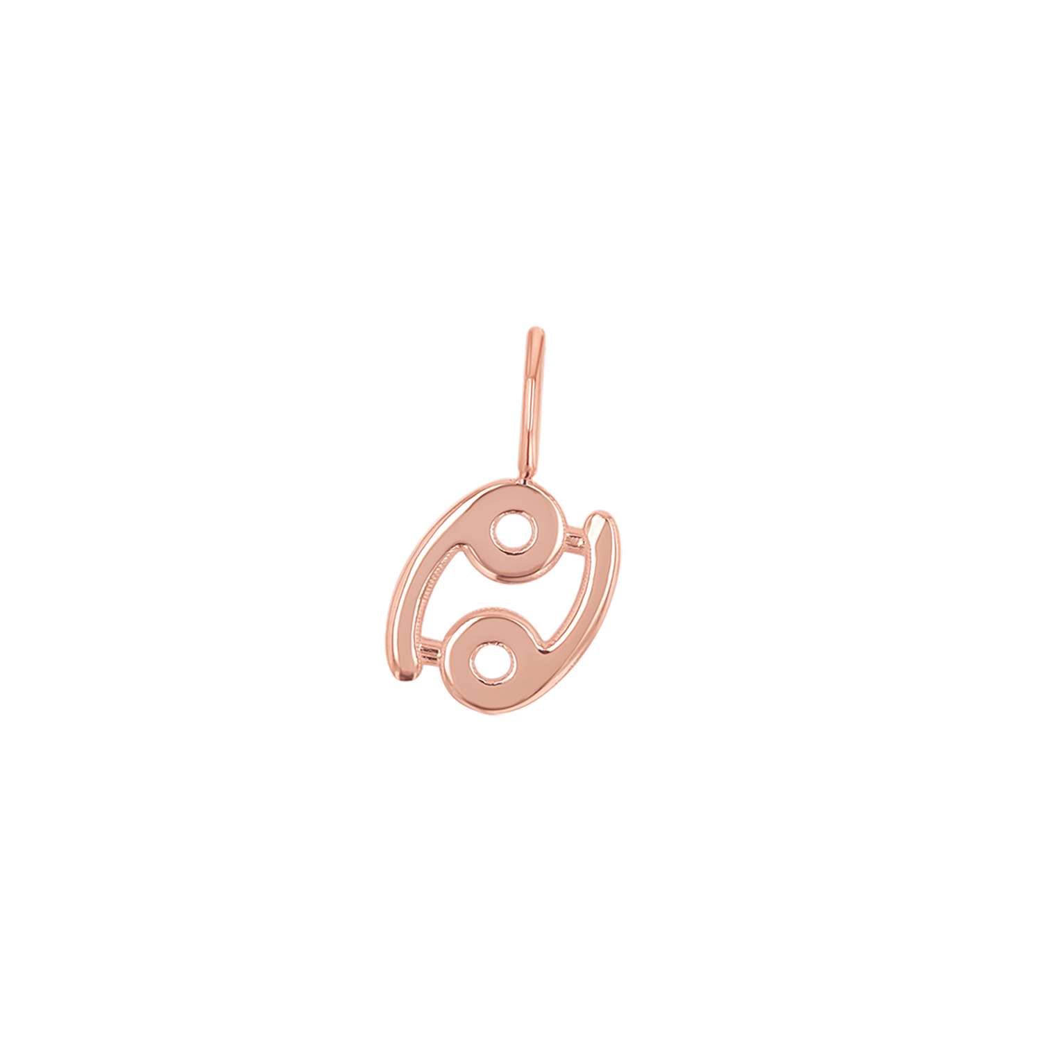 Zodiac Charm Z231706