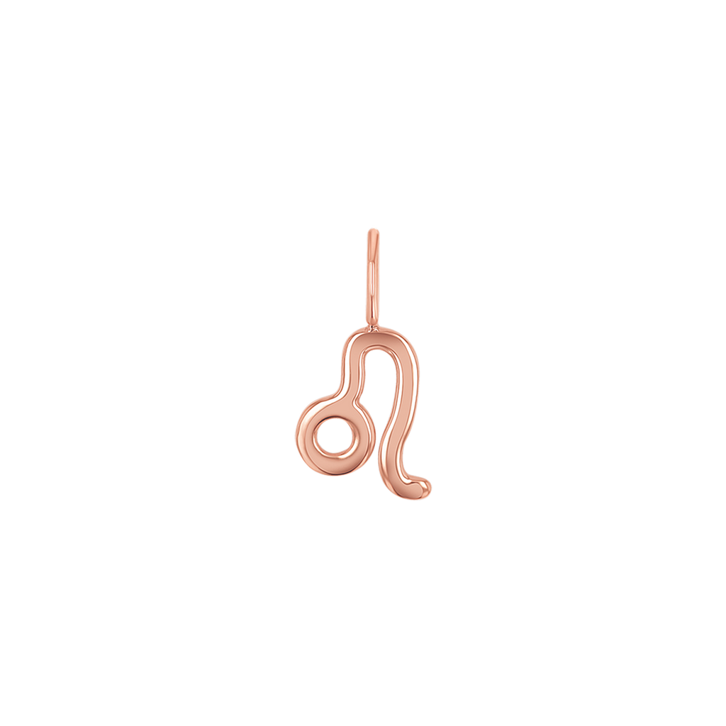 Zodiac Charm Z231706