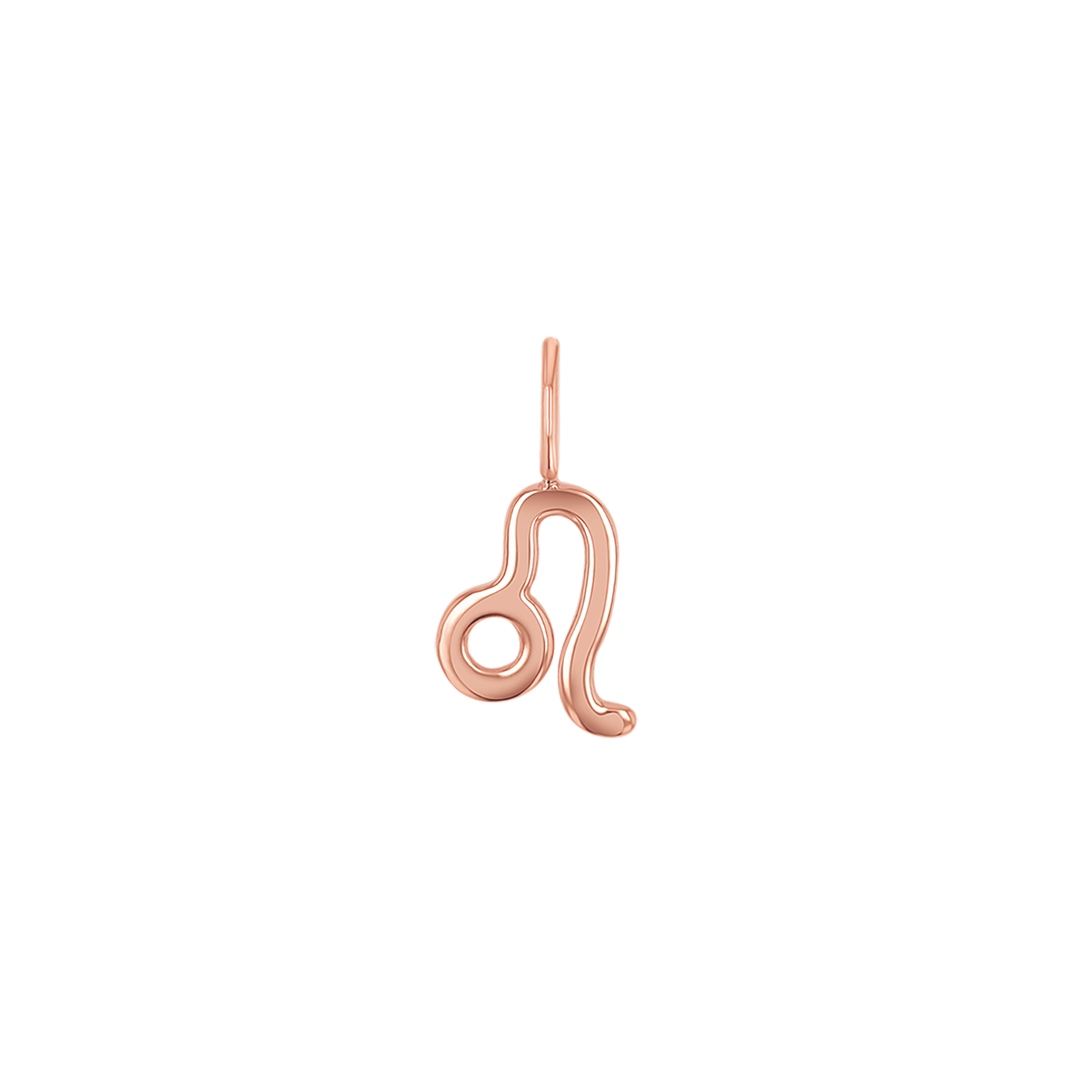 Zodiac Charm Z231706