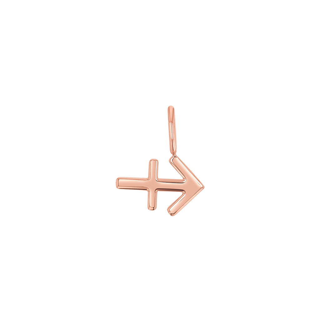 Zodiac Charm Z231706