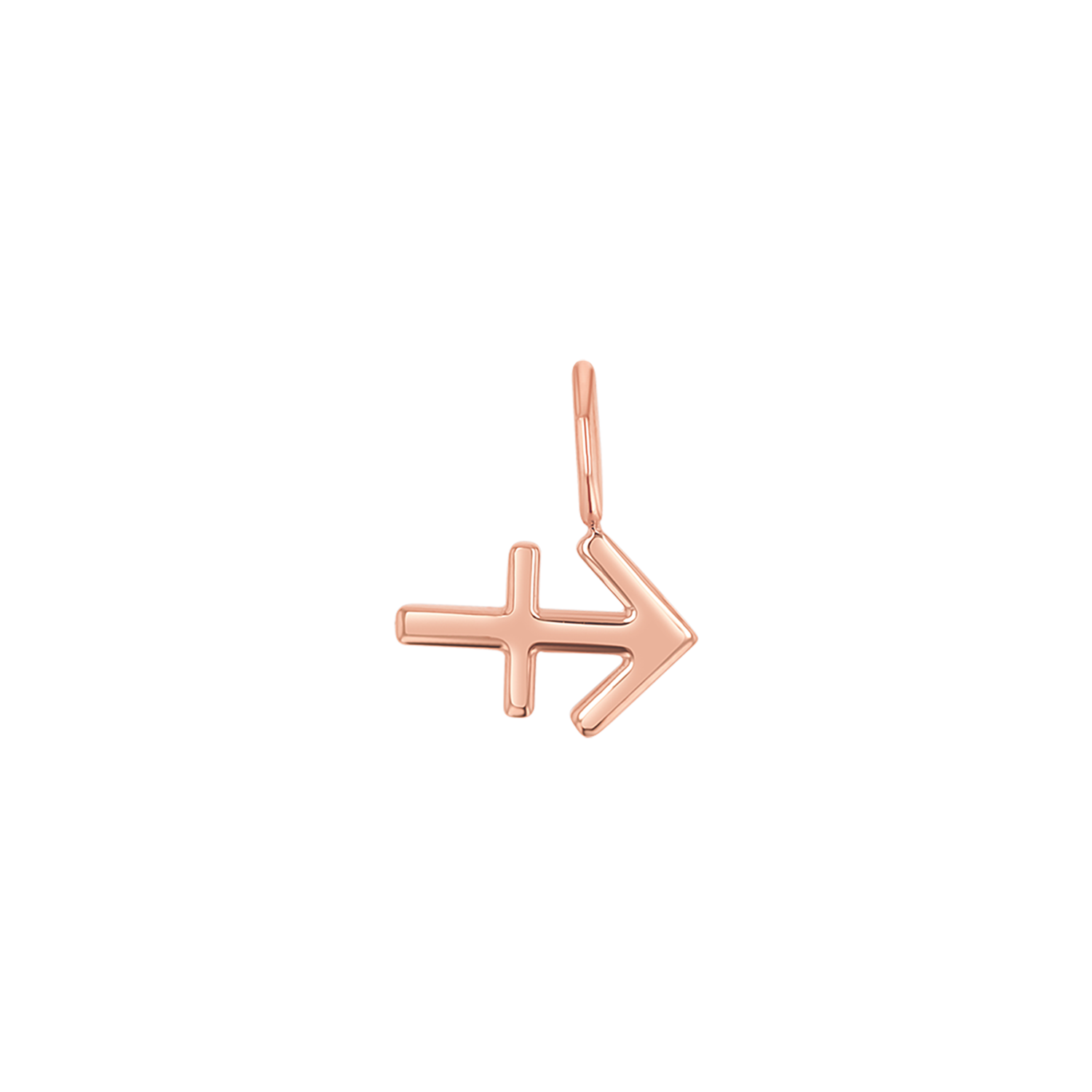 Zodiac Charm Z231706