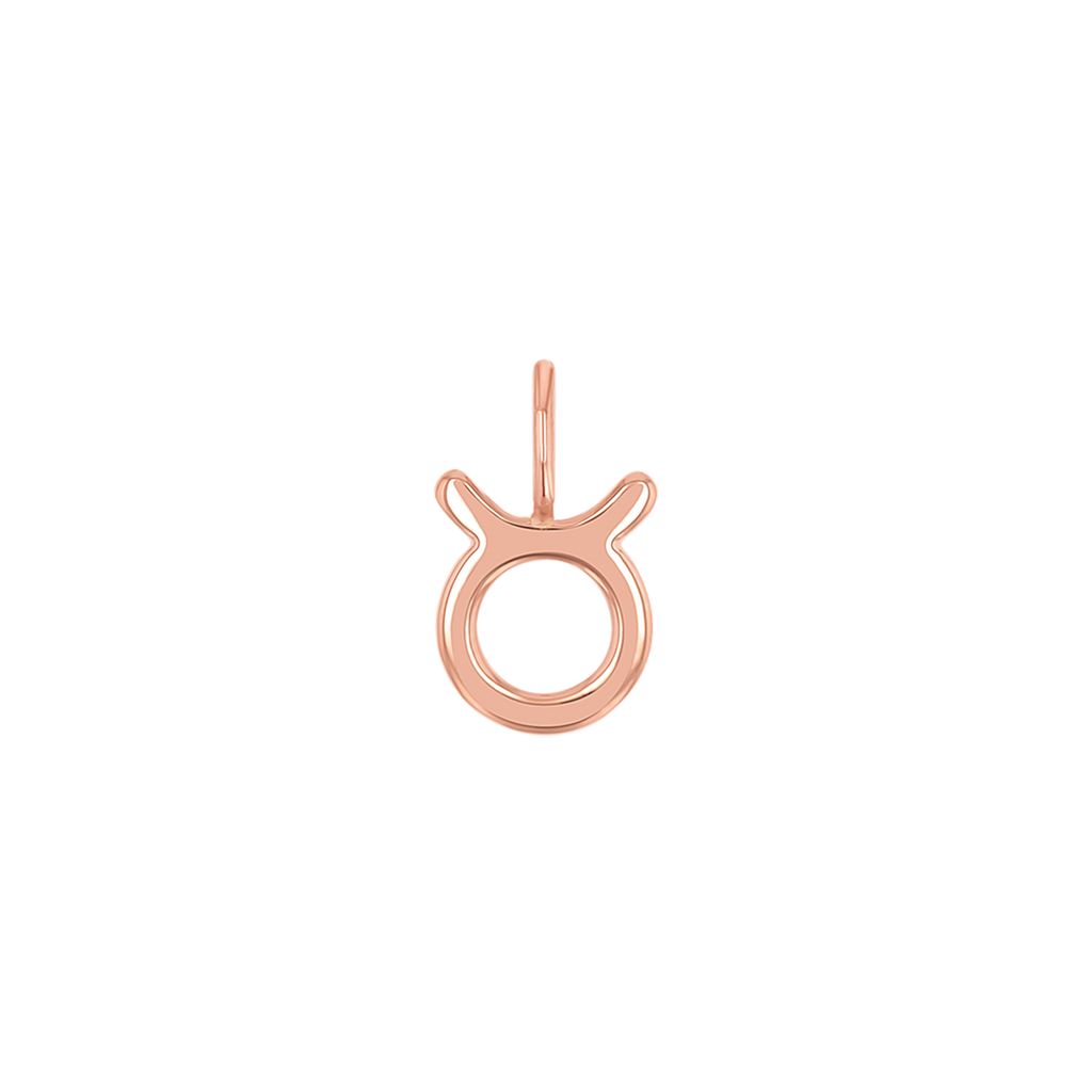 Zodiac Charm Z231706