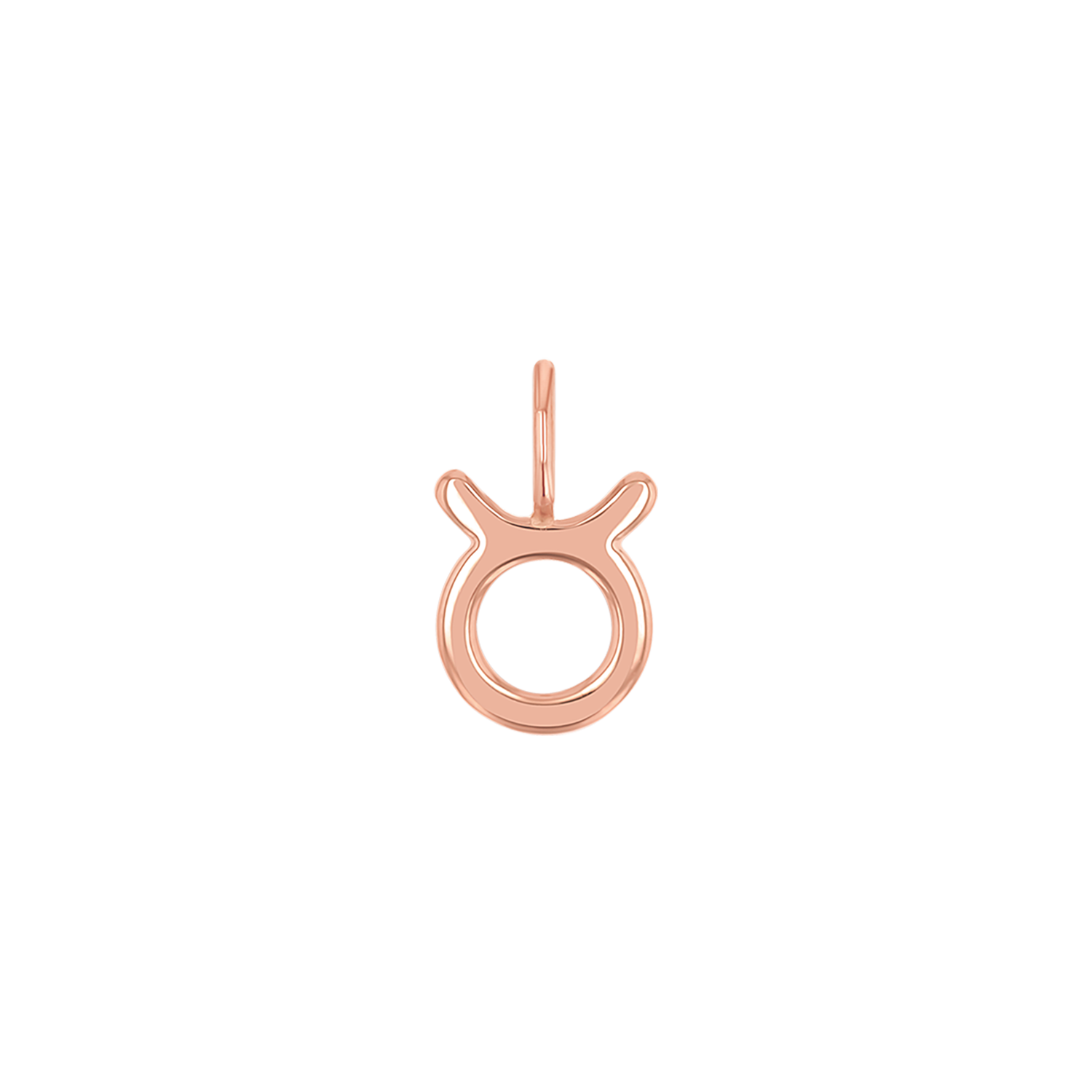 Zodiac Charm Z231706