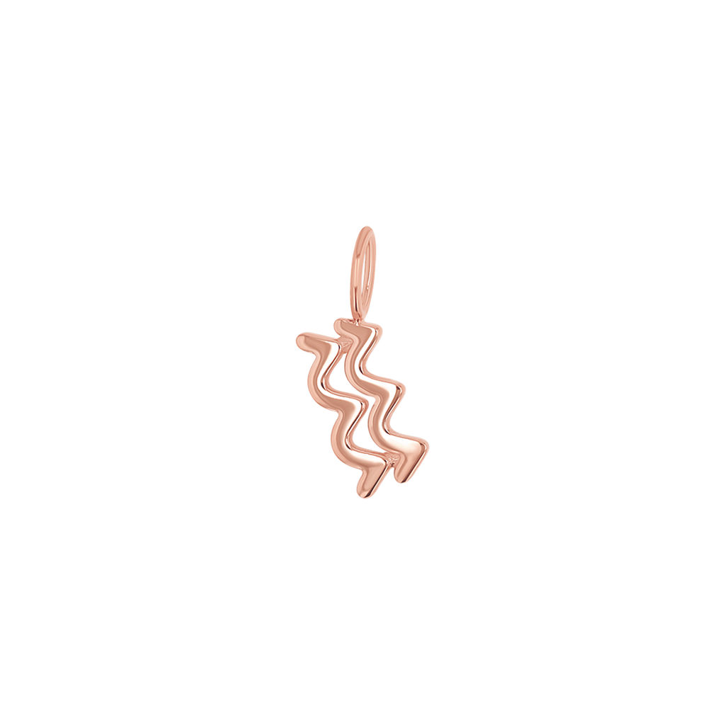 Zodiac Charm Z231706