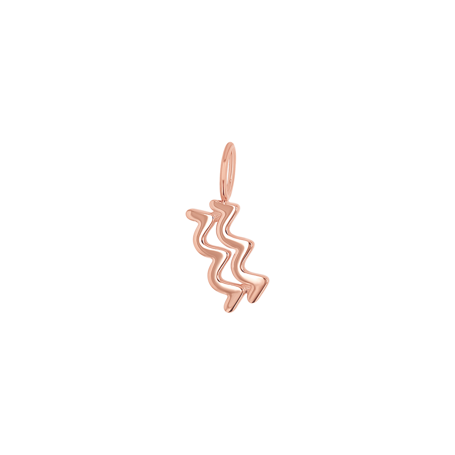 Zodiac Charm Z231706