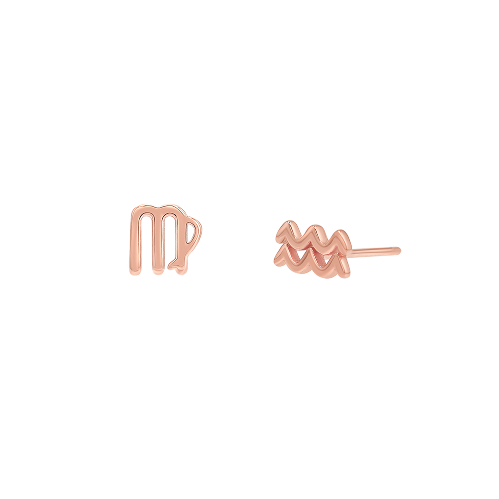 Zodiac Stud Earrings Y107